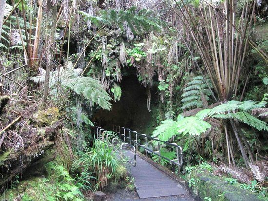 Nahuku - Thurston Lava Tube